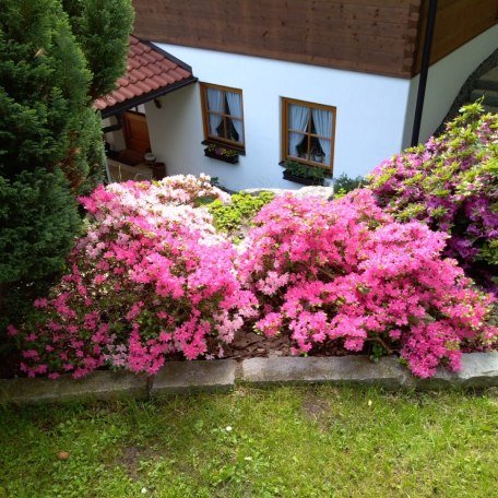 Sommer, © im-web.de/ Tourist-Information Bayrischzell